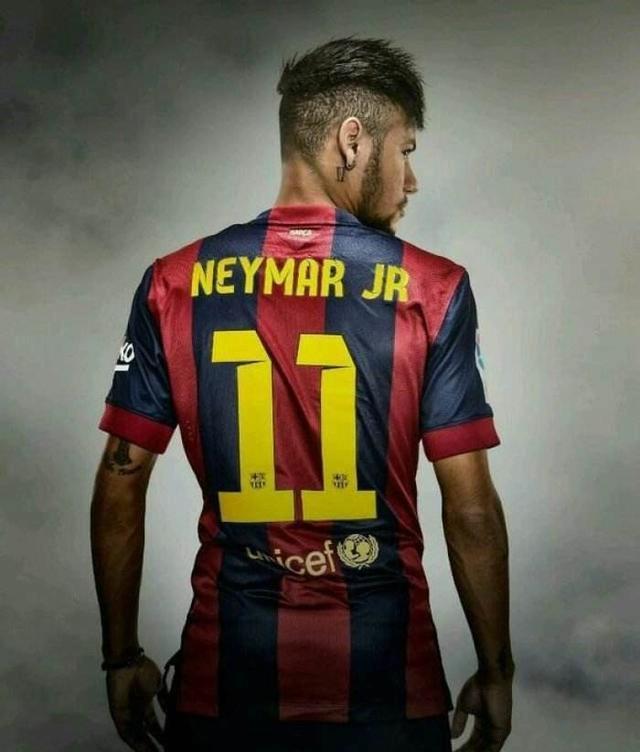 中的一环松 中的一环松